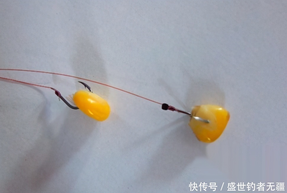 盛世|钓青鱼如何诱鱼?教你聚鱼方法和最能吸引青鱼的味型——盛世三渔