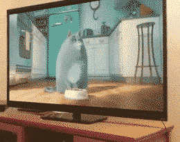 |搞笑GIF段子:姑娘,穿着恨天高不会走路,不要为难自己!