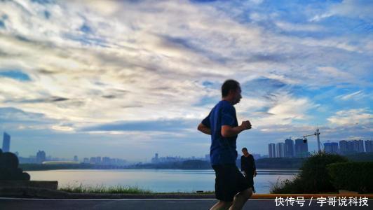 灵光|老年人大脑健康测试:10秒内找到图片中的狼,大脑健康而且很灵光