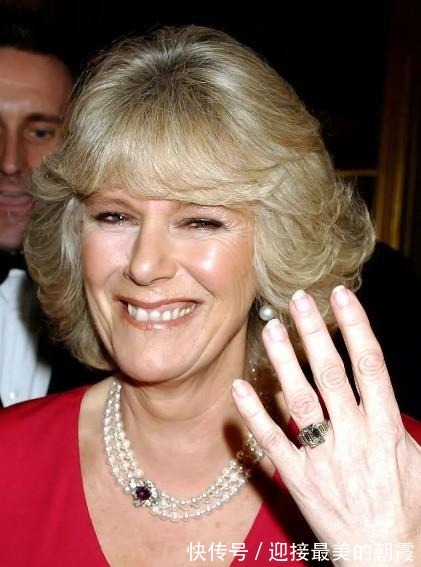 蛇形项链 卡米拉的蛇形项链20年前做情人时查尔斯送的,蛇蝎气质一目了然