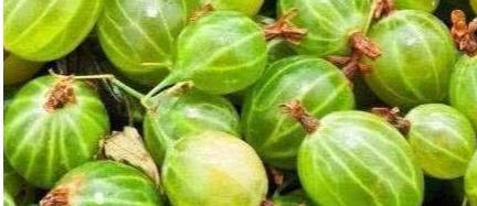 排毒|春季养肝要会吃，推荐3种食物，补充营养，排毒护肝，改善睡眠