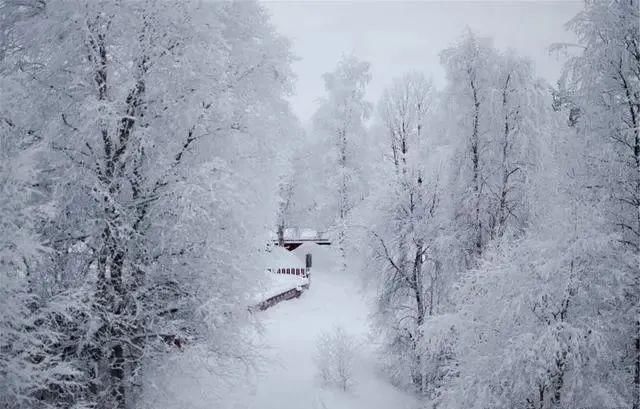 冬季，想要守住体内阳气，多吃两大“根菜”，坚持三个“习惯”