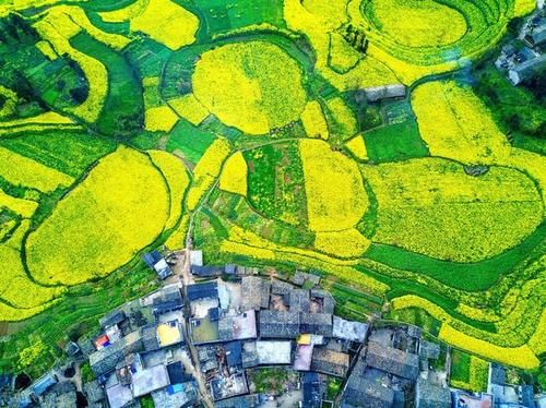 2-3月的旅行榜单来了,春节本地过年和周边游正合适