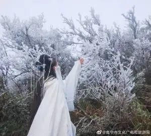 景区|大明山冰雪世界吸引了太多人，已经连续两天提前叫停售票！人满为患