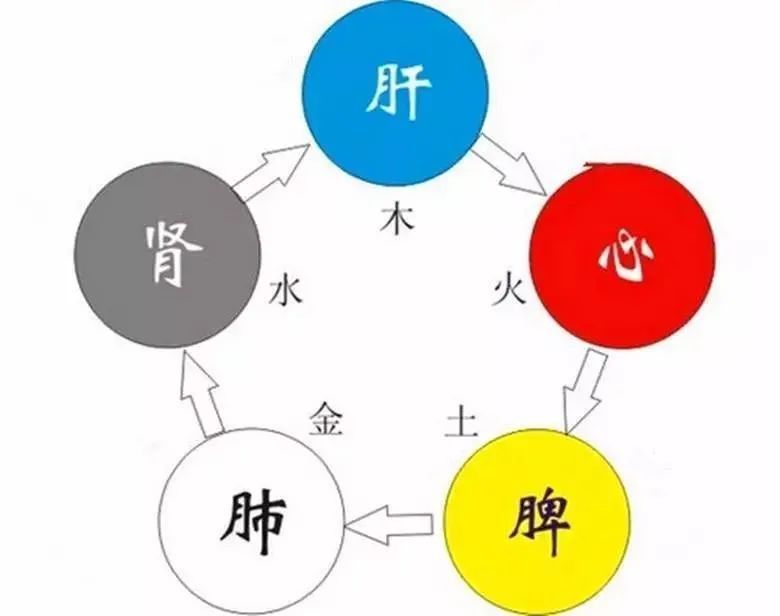 拍打|【健康】五脏最喜欢的养生动作，你知道吗？