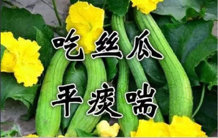 养生|今日出伏,吃3瓜、3肉、4点,别做6件事!