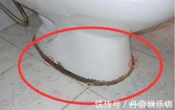 发霉|卫生间玻璃胶用久了发霉，师傅教你一招，转眼就干净