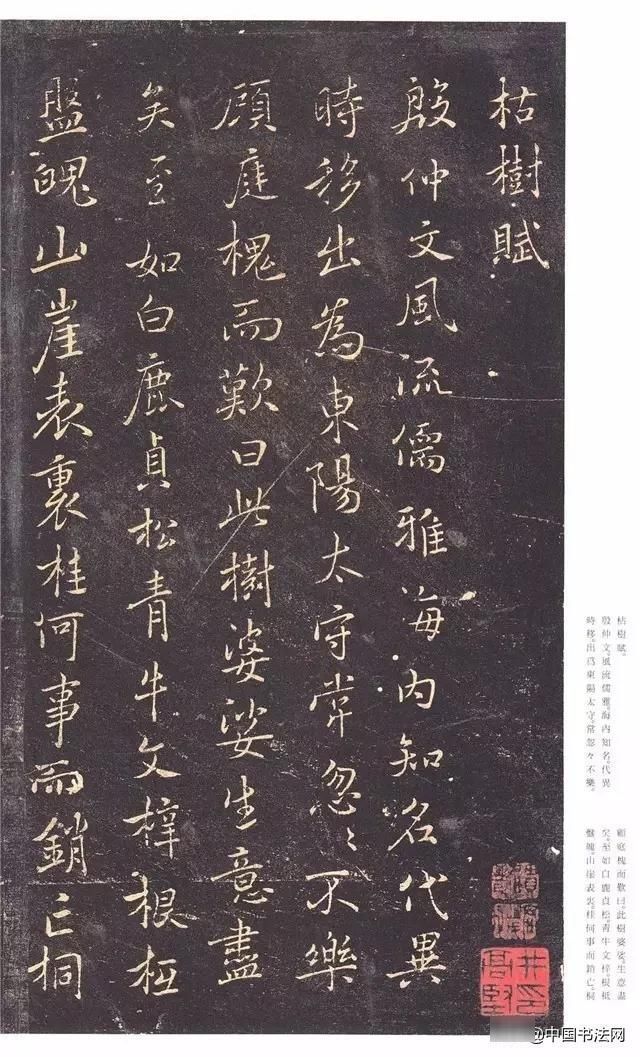 枯树赋|褚遂良《枯树赋》有美女婵娟,不胜罗绮之态