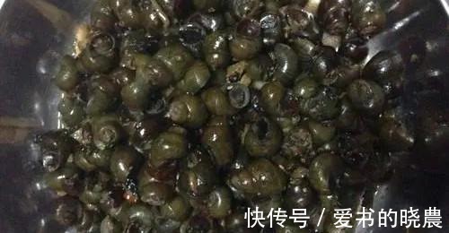 鲜肉|炒田螺时,多这一个步骤,不仅泥沙能吐干净,还汤鲜肉美!