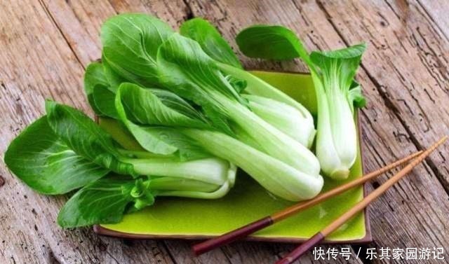 野菜|炒青菜时，只要多加几滴它，炒出的青菜翠绿入味不出水，好吃极了！