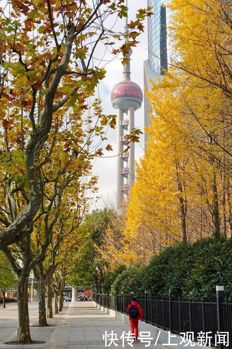 陆家嘴|陆家嘴高楼群里的小景，你到过几处？