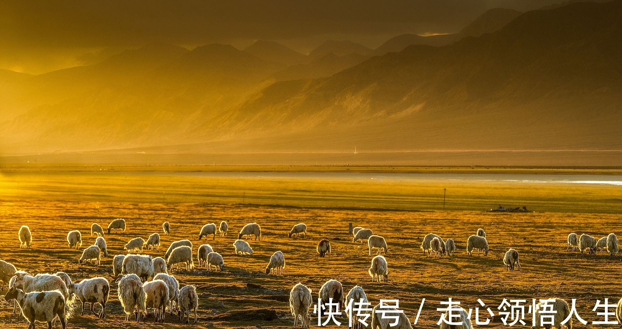 诗人!宋诗精华五首,其中一首是王安石的送别佳作,值得一读