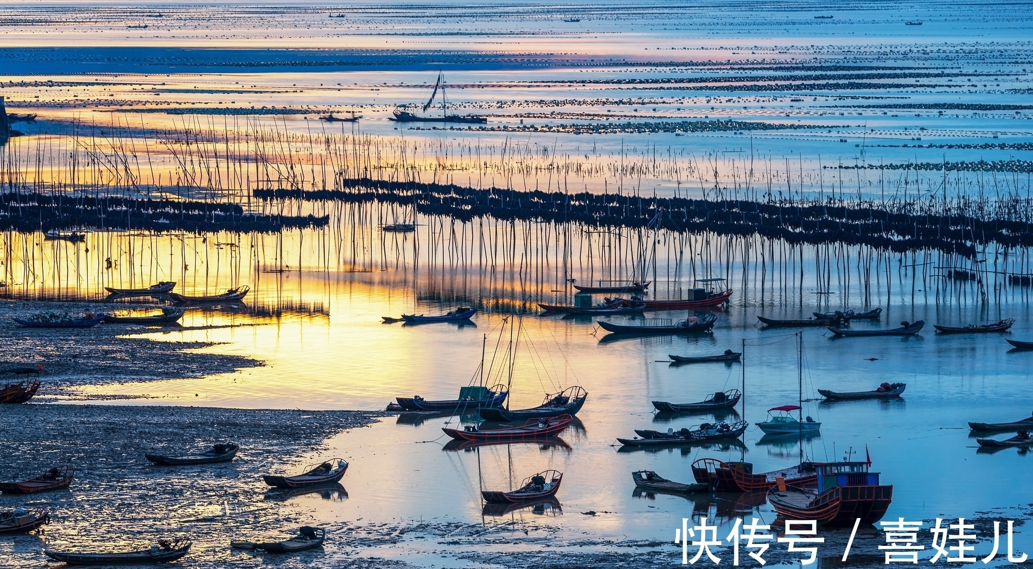 史铁生$万卷书里,阅尽人间春秋色;生花笔下,心湖绽放青白莲