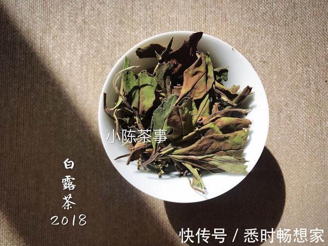 白毫银针|春有百花秋有月，一起来看看，春白茶和秋白茶究竟有哪些不同