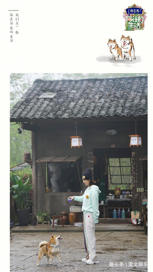 节目 下期《向往》要火,杨紫还没走,他俩又来了,还是《跑男》老成员