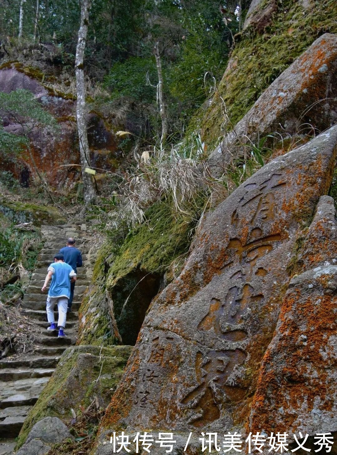 大V推荐丨金山人“拍了拍你”,一起去爬古道仙踪的鹅仙洞呀!