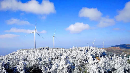 房前|朔风欲雪，绽放在曲靖、六盘水房前屋后的冰花，惊艳到你了吗？