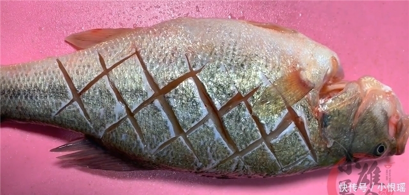 清蒸鱼要蒸多久?20年大厨分享正确蒸鲈鱼的时间,肉质鲜嫩无腥味