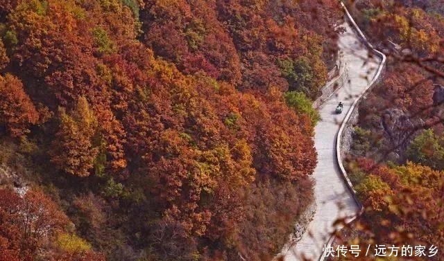 风景不输香山，还比门头沟人少，北京最适合赏红叶的地方在这里