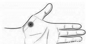 青筋|手掌上这块肉,一看就知道身体好不好!没事经常搓一搓,宣肺强心