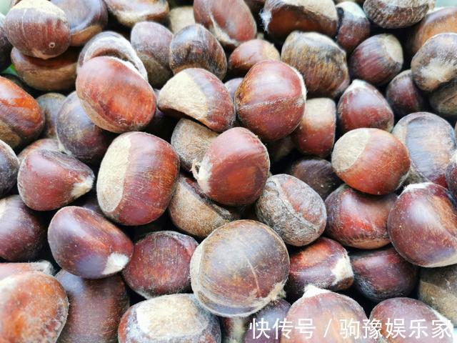 巧克力色|生板栗快速去壳，1分钟剥30个，颗粒完整，附板栗挑选技巧