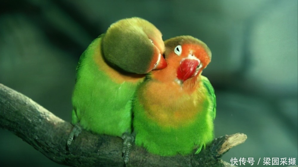 红尘|(原创散文)红尘中有你