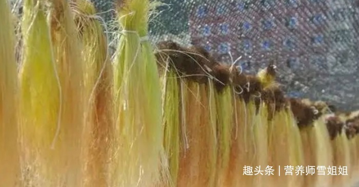 代茶饮|懂得使用蒲公英的人，能收获这5大好处，看看你用对了没