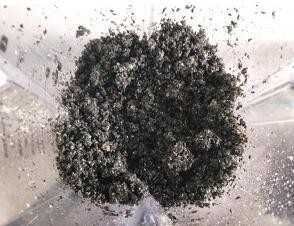  黑发|白头发猛增多，医生推荐多吃它，毛囊长出黑发，白头发慢慢没了