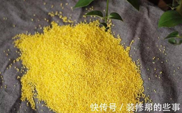 营养物质|吃小米的人注意了！这么吃更科学、更营养