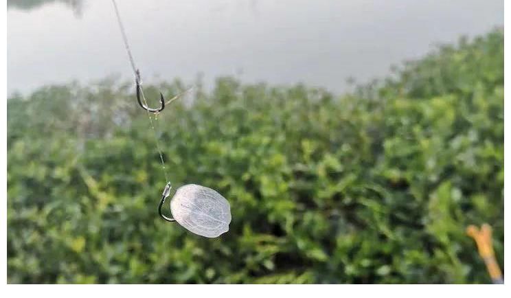 野钓为什么不选伊势尼钩？经常跑鱼太头疼，了解这几点会有帮助