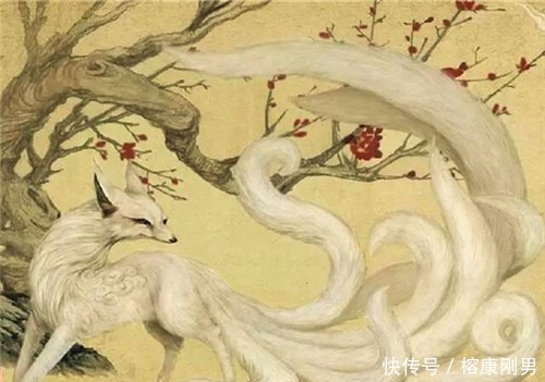 妲己|古代曾有2人娶九尾狐为妻,一位是暴君纣王,另一位却成了大圣人