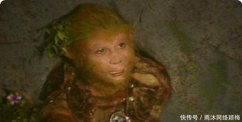 菩提|猴子取经为何菩提消失了,看完这个才知道,他一直在,从未离去