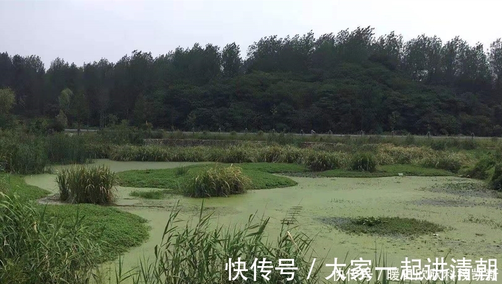 繁殖期|夏天钓黑鱼，民间手竿钓法的操作要点，钓组简单到没浮漂没铅坠