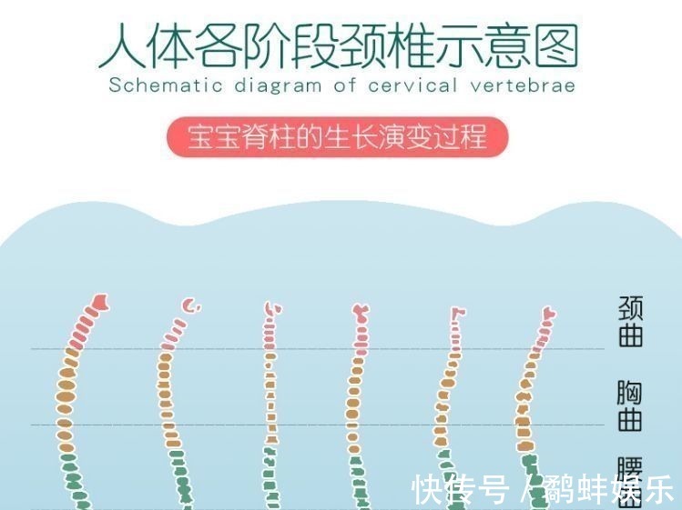 老来得子|家长的3种行为,影响宝宝脊柱发育,长大可能“矮”人一截