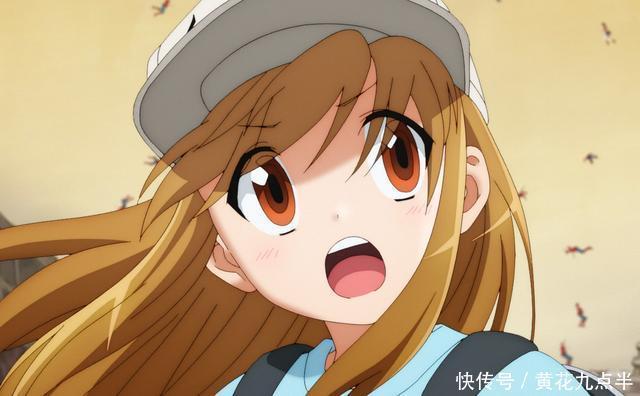 血小板|仔细观察了一下可爱的血小板,是时候分享一波心得了