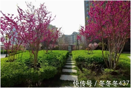 冬冬冬|保定楼市性价比相对来说比较高一些的二手房小区推荐