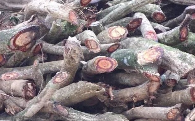 慢性滑膜炎|送你3种方法,10天巧治膝盖疼,连滑膜炎也一起消失了