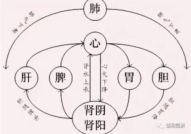  表里的关系|心与小肠互为表里，心是阴火，小肠是阳火