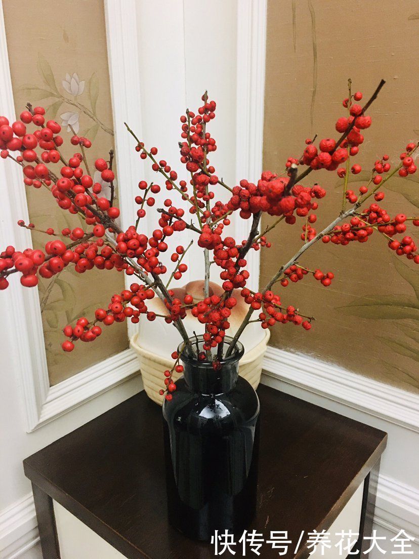 4种花贵气十足,养在家里有格调,等我有钱了一定要买