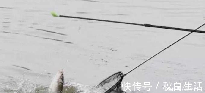 实情|狂拉后却遭到“停口”老渔民说出实情,原来不少钓鱼人都做错了!