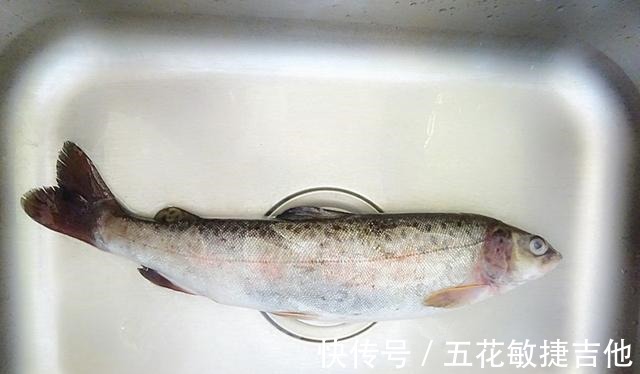 维生素d|冬天这菜要常吃,这么做味道鲜美,营养翻倍,还是补钙的最好来源!