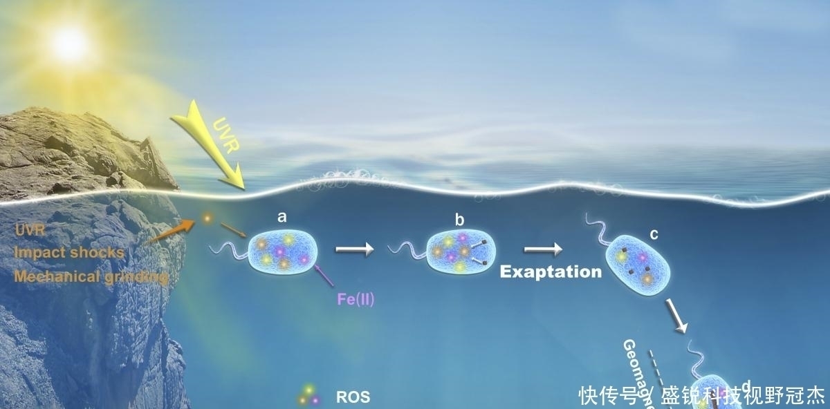 如果穿越回去杀死地球第一个生命，可以灭亡这个地球所有生物吗