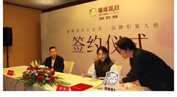 高度|猫咪派对在金莎的带领下能走向怎样的高度？