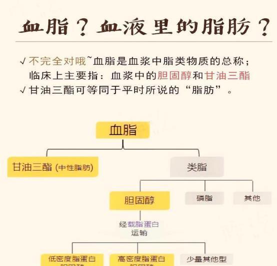 血管|高血脂“克星”公开,避免做这几件事,血管干净通畅