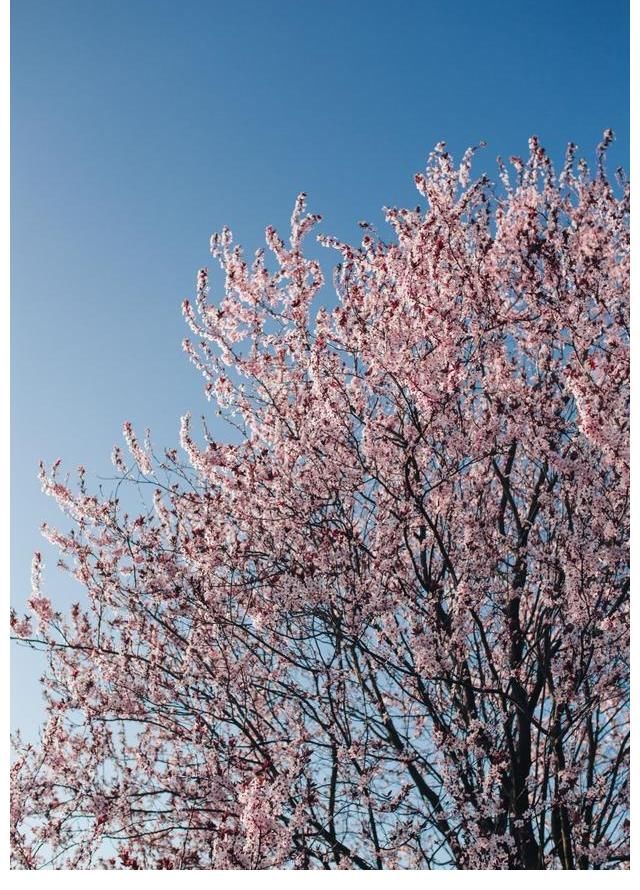 旧爱|邂逅情缘，感动旧爱，痴心难舍，痴缠一生，此生永相依