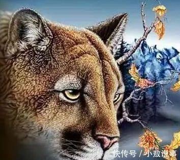 老年痴呆|老年痴呆测试:图中有几只狮子?据说聪明的人能找出7只,你呢?