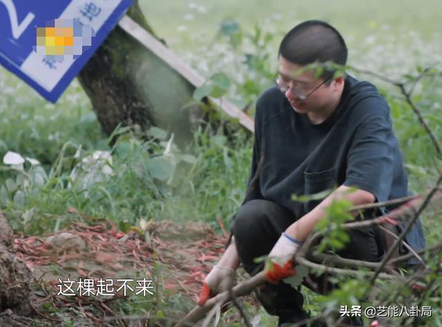 《向往的生活5》出現(xiàn)最煩人嘉賓，何炅不留情面，黃磊難掩嫌棄