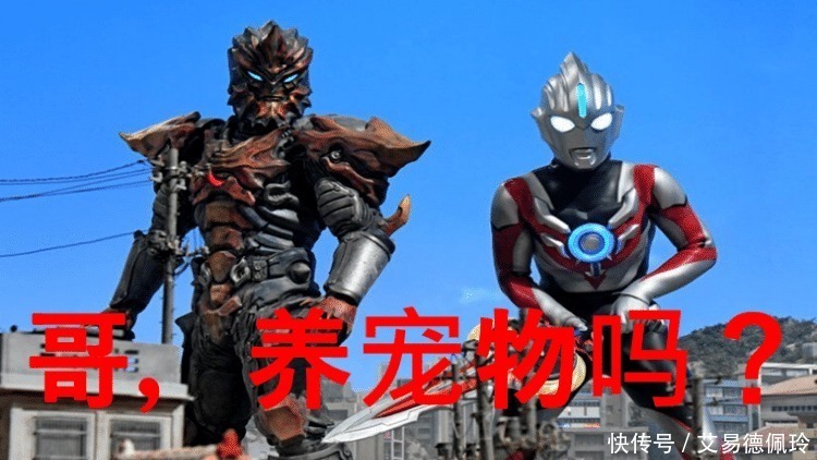 宠物|盘点那些养怪兽的奥特曼,雷欧的宠物会打人,他的宠物有三个!