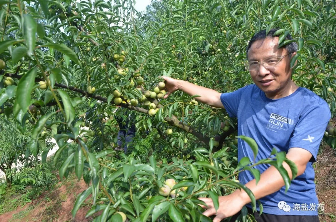 道德模范|最美浙江人丨浙江表彰省道德模范，这位海盐人去领奖了！