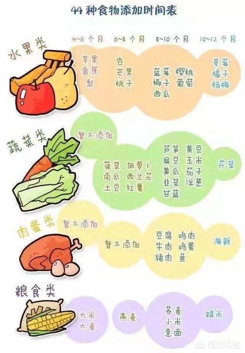 7个月的宝宝可以吃什么主食呢？